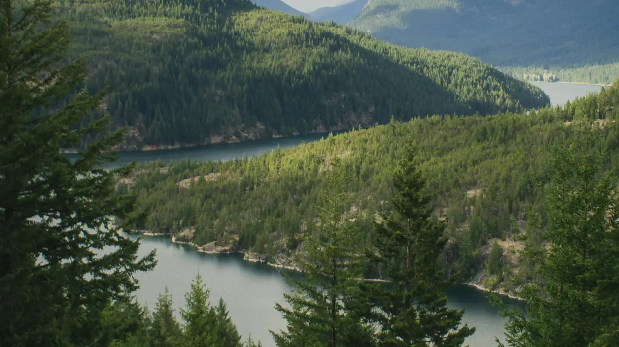 Landscape with mountains, trees and a river in the Pacific Northwest.