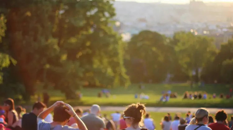 A group of people sitting in a park at sunset.