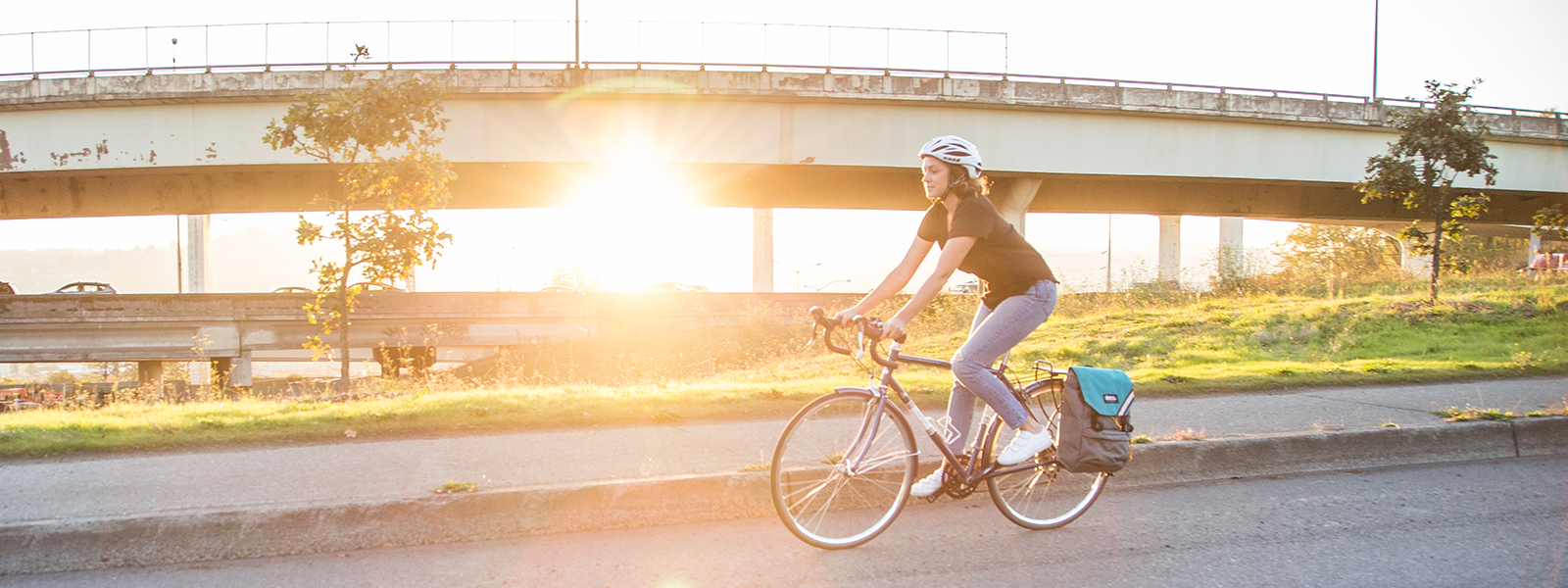 Bicycle Bags